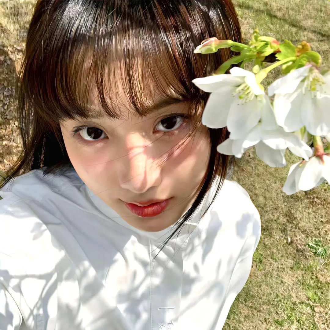 花姊妹风流债